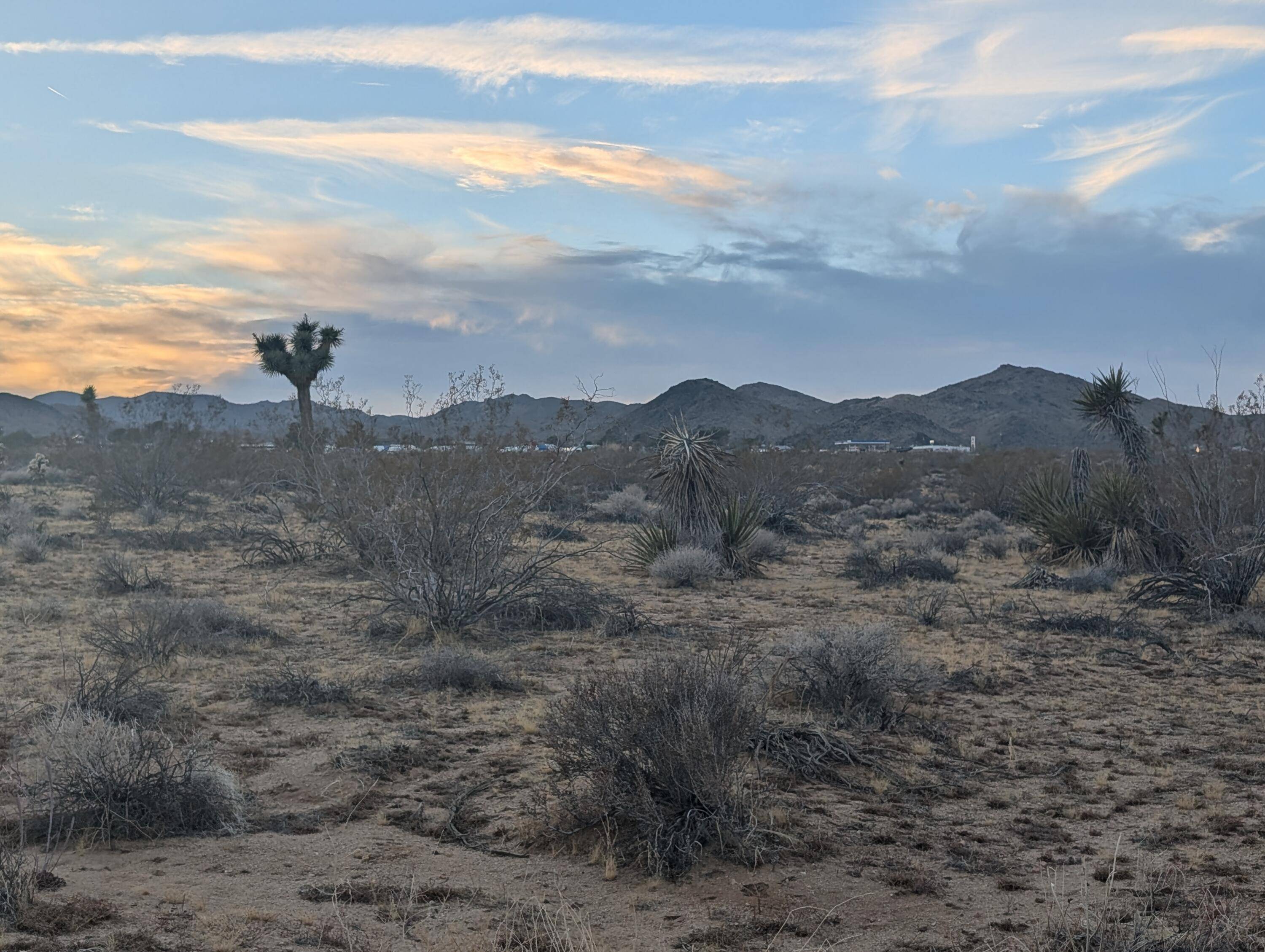 Yucca Valley, CA 92284,476 Ripon AVE