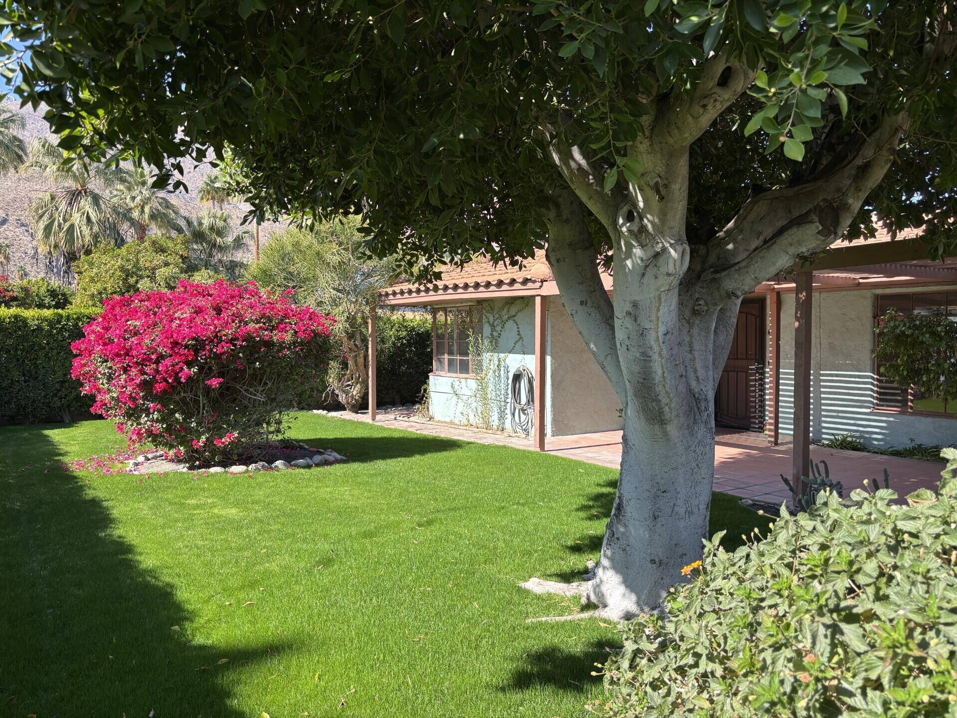 Palm Springs, CA 92264,438 E Avenida Hokona