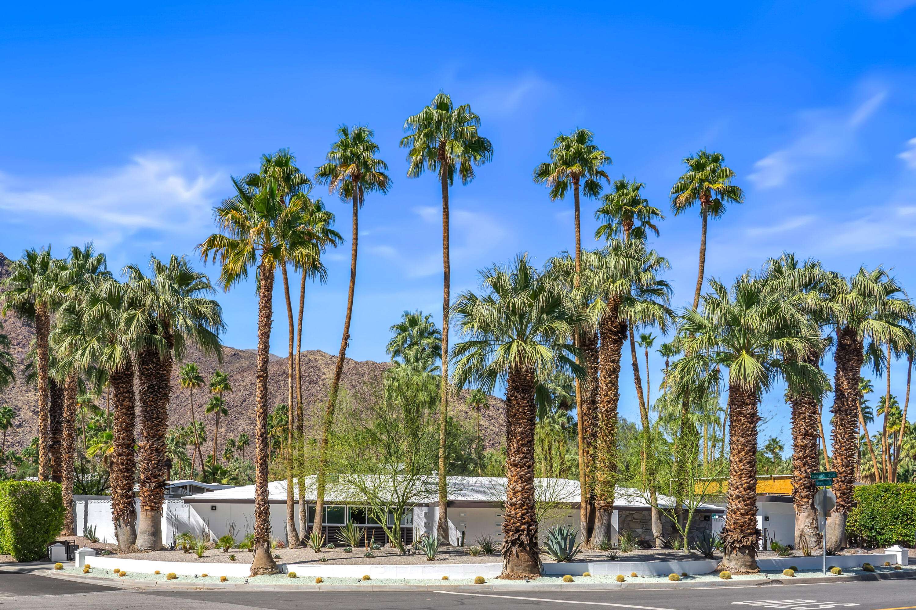 Palm Springs, CA 92262,1101 N Via Monte VISTA