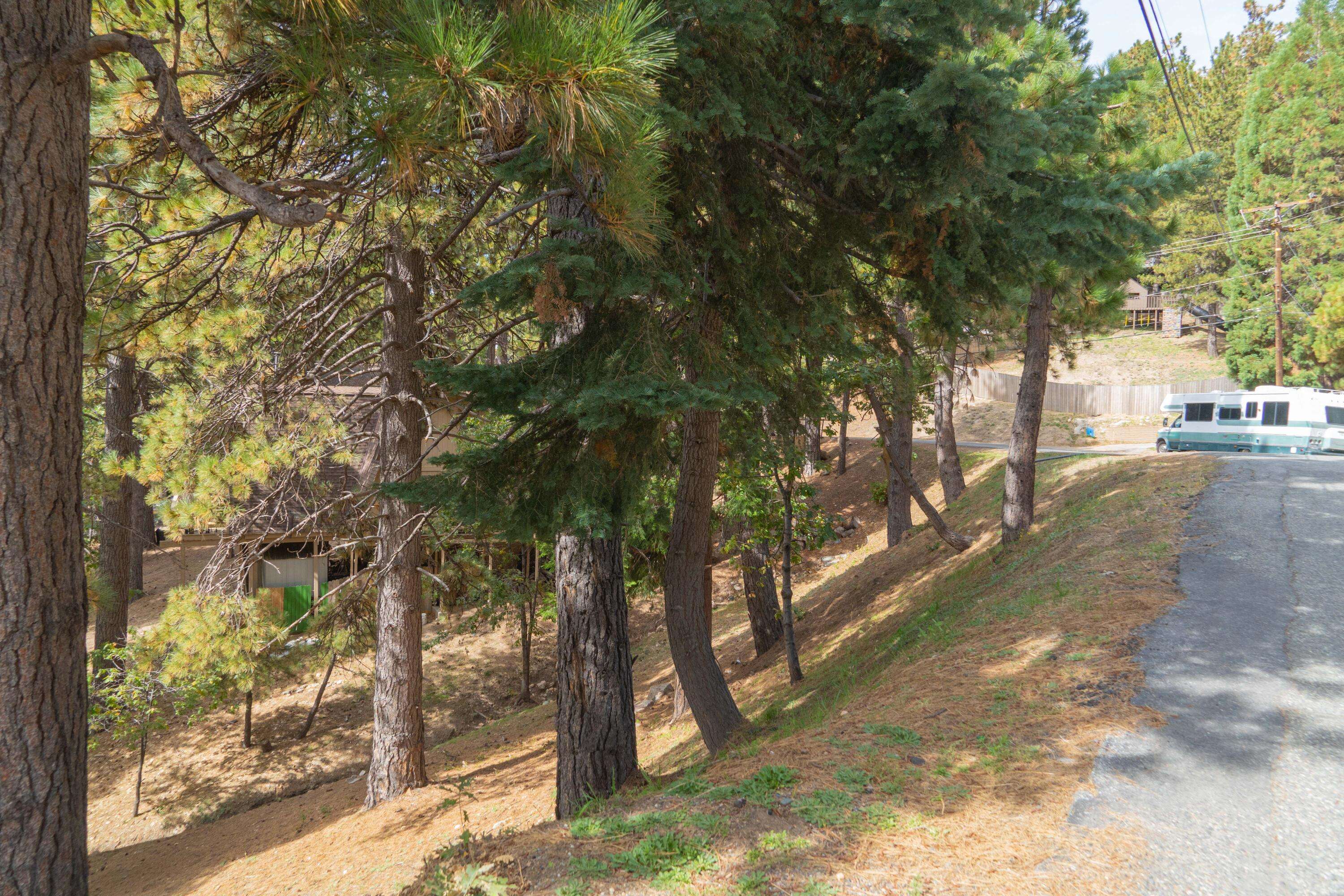 Running Springs, CA 92382,0 Circle View DR