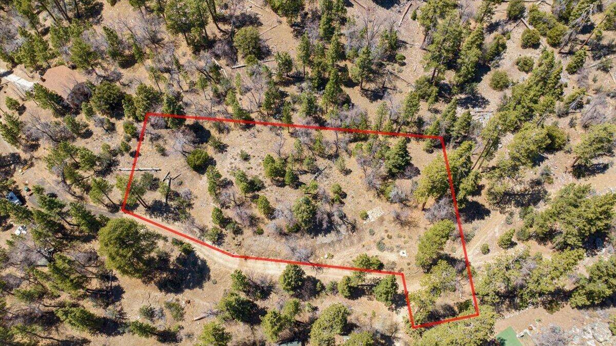 Fawnskin, CA 92333,1286 Fawnskin DR