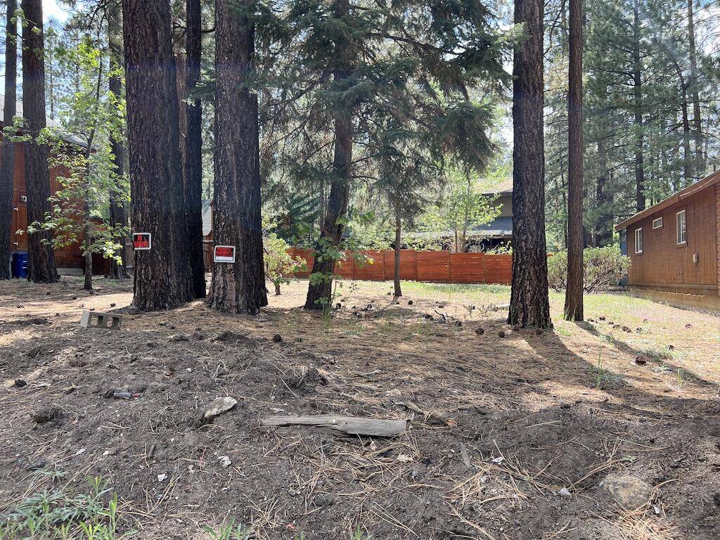 Big Bear Lake, CA 92315,0 Summit BLVD