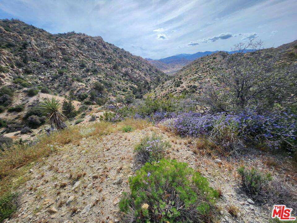 Yucca Valley, CA 92286,20 W Omega TRL