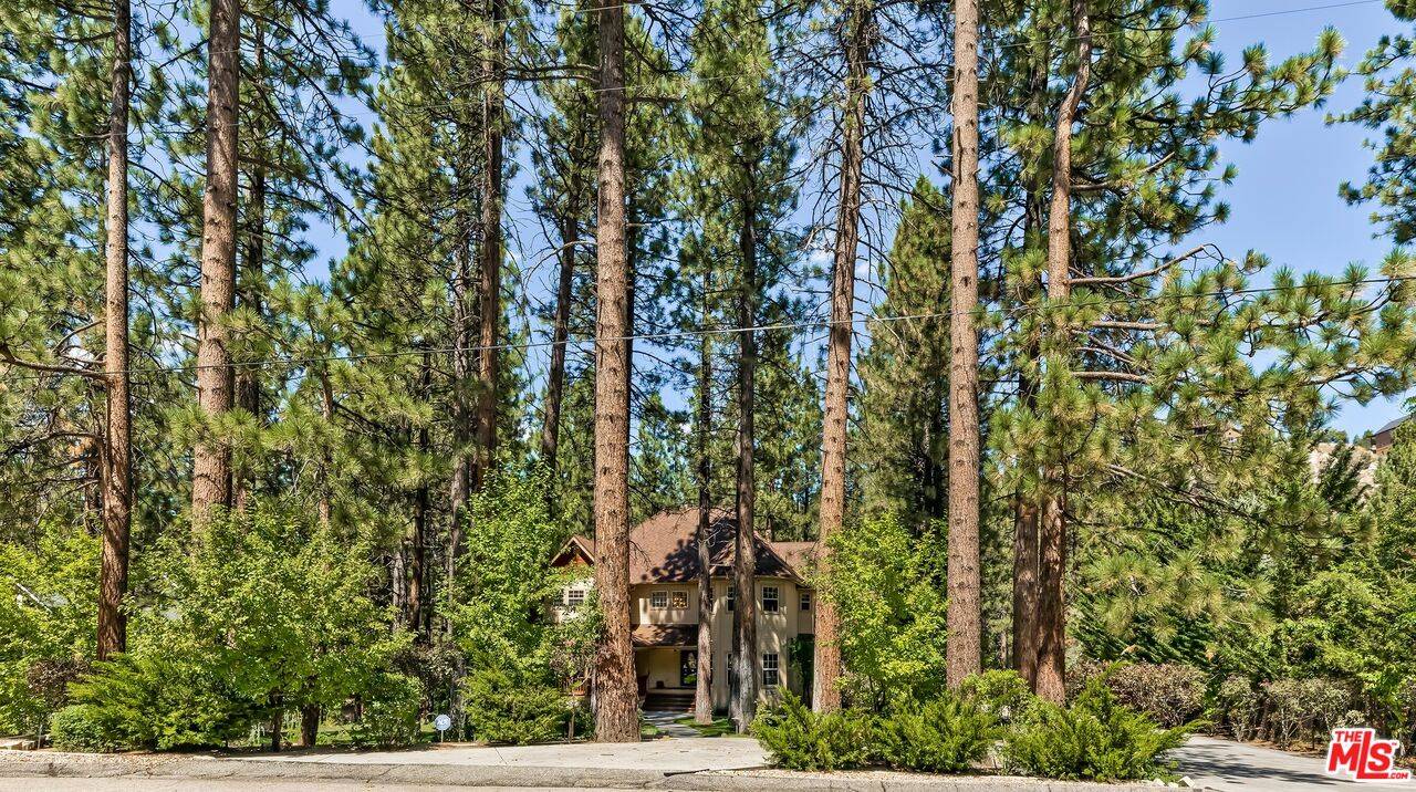 Big Bear Lake, CA 92315,42450 Juniper Dr