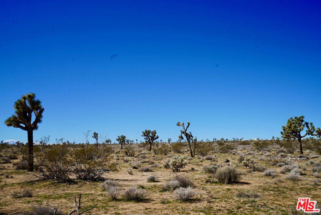 Yucca Valley, CA 92284,0 Yucca Mesa Rd