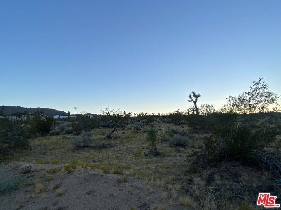 Joshua Tree, CA 92252,0 Saddleback Rd