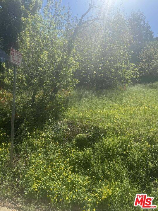 Los Angeles, CA 90046,0 Groveland Dr