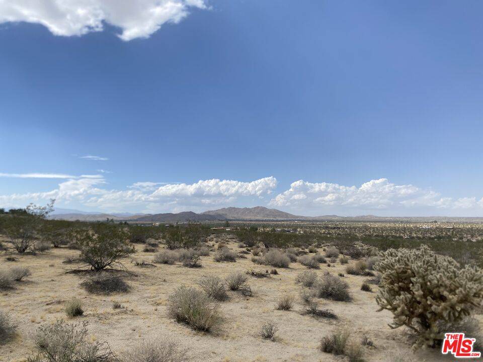 Joshua Tree, CA 92252,0 California Ave