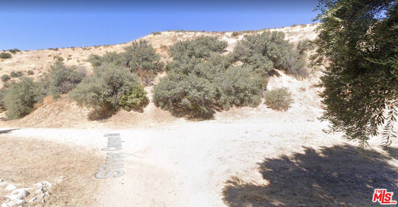 Agua Dulce, CA 91390,0 Vac/Vic Sierra Hwy/Sprin St