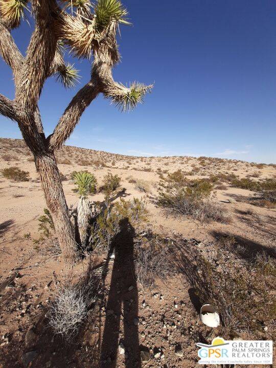 Joshua Tree, CA 92252,0 Mt Nebo Rd