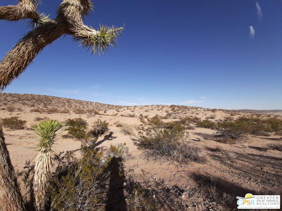 Joshua Tree, CA 92252,0 Mt Nebo Rd