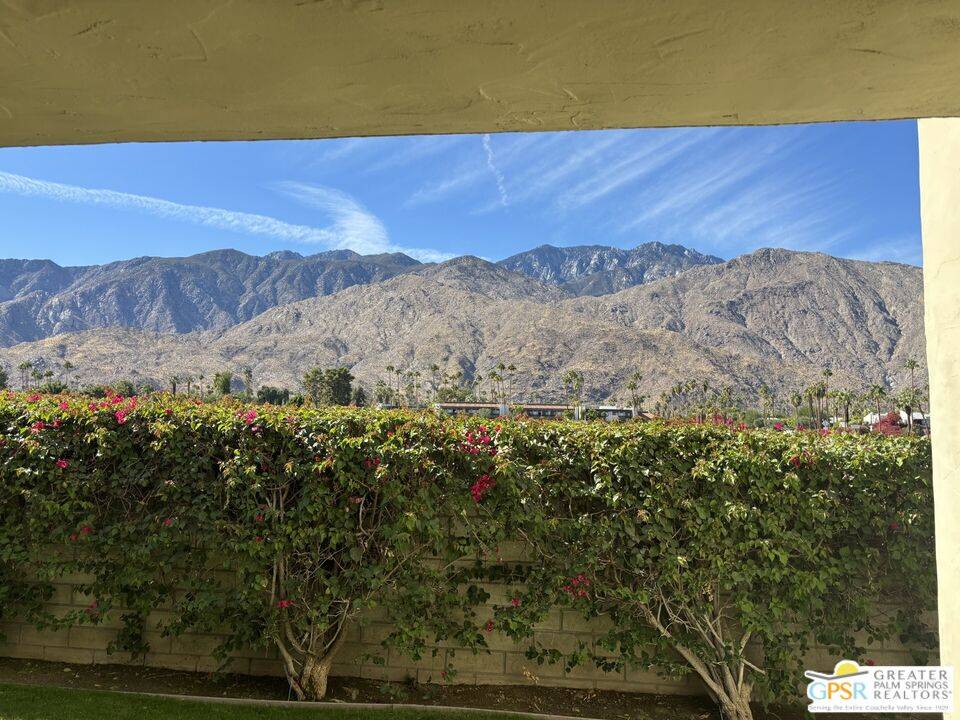 Palm Springs, CA 92264,1655 E Palm Canyon Dr #307