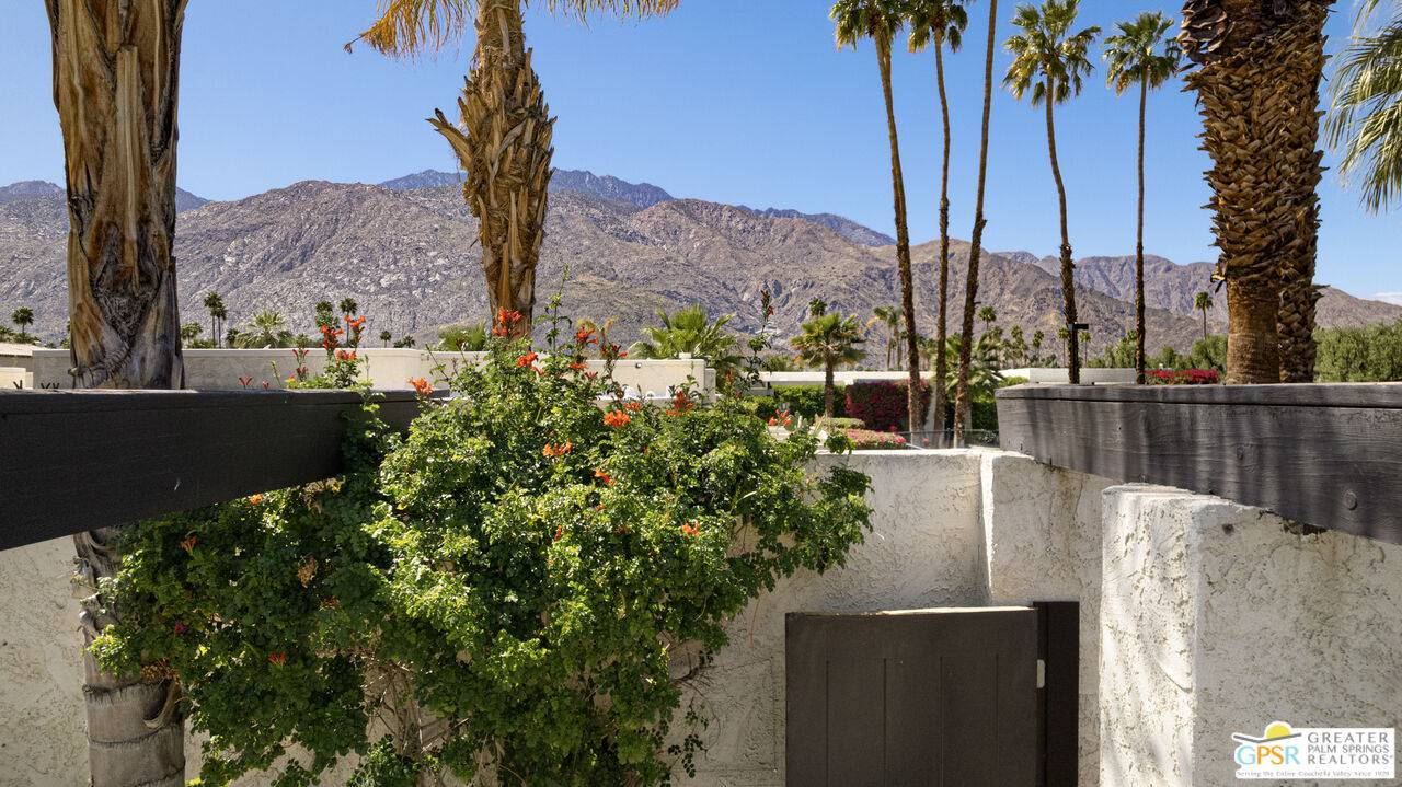 Palm Springs, CA 92262,427 N Calle Rolph