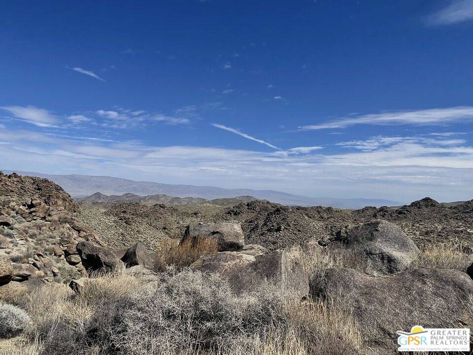 Mountain Center, CA 92561,0 Desert Calico