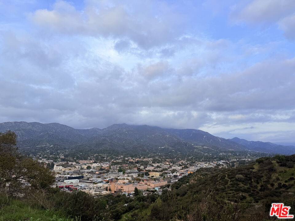 Tujunga, CA 91042,9727 N Estaban Way