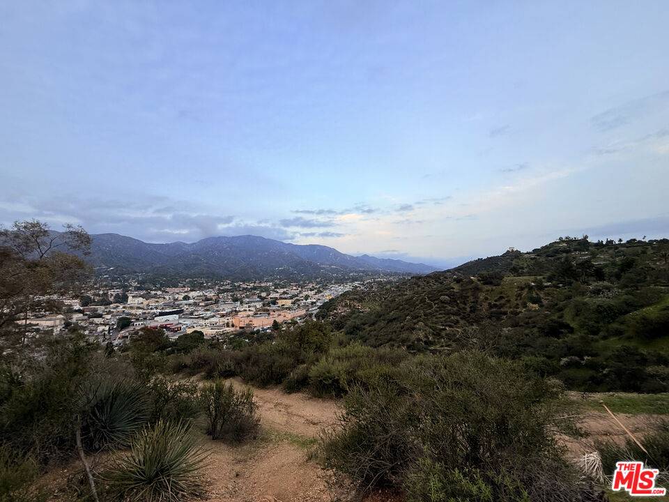 Tujunga, CA 91042,9735 N Estaban Way