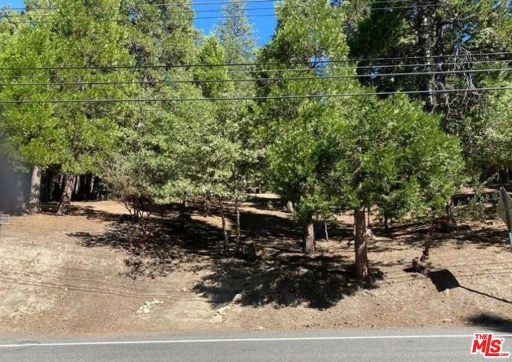 Lake Arrowhead, CA 2352,0 Grass Valley