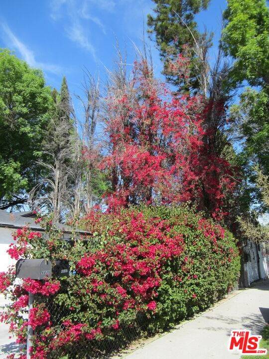 Winnetka, CA 91306,6835 Lubao Ave