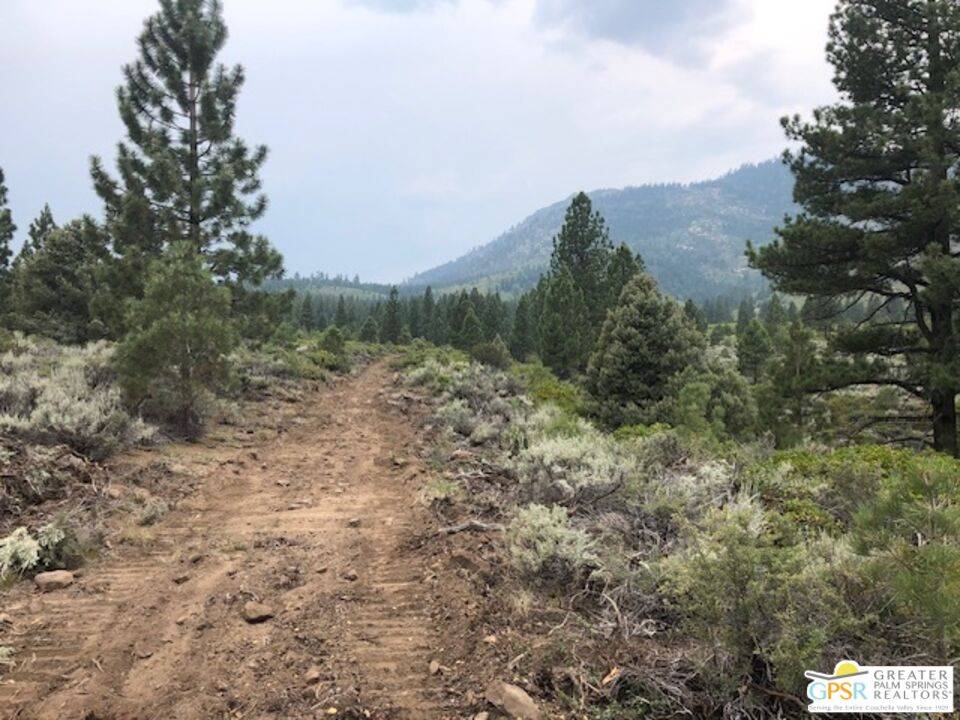 Markleeville, CA 96120,0 Ditch Rd