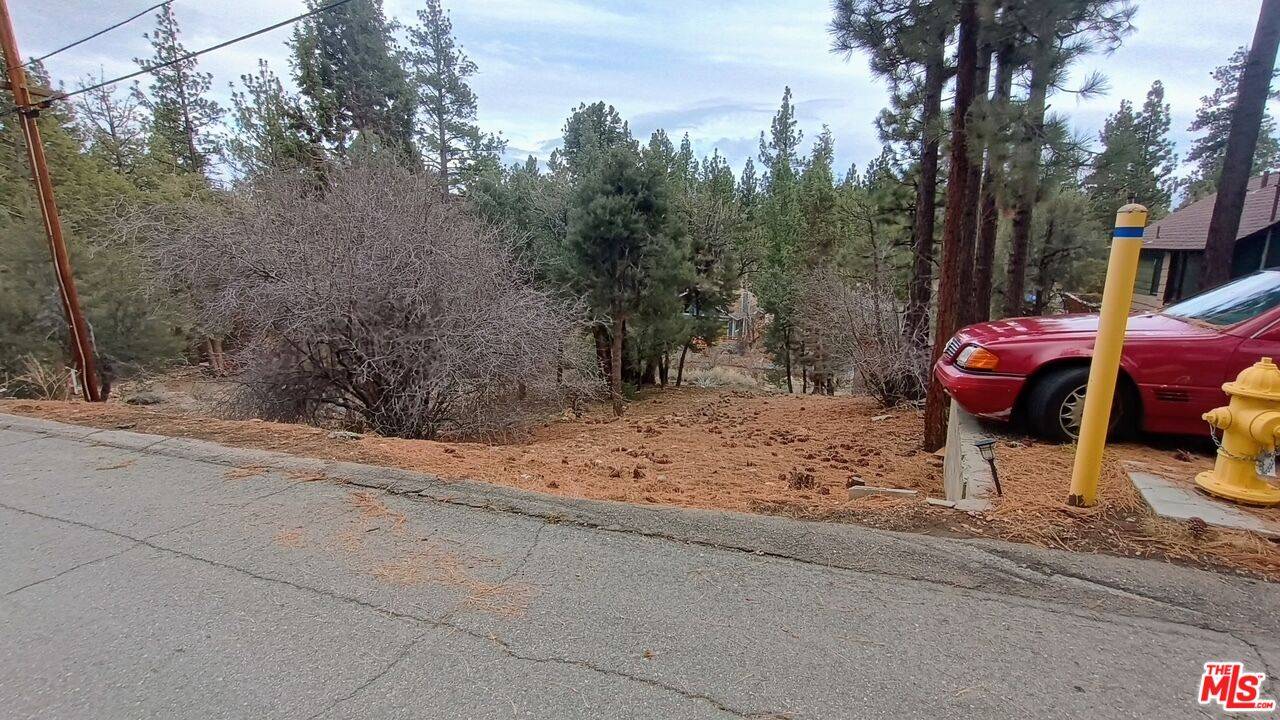 Big Bear City, CA 92314,384 Cinderella Dr