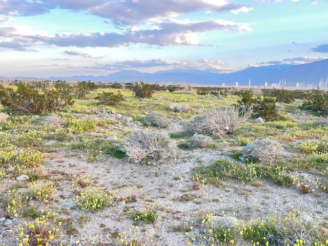 Palm Springs, CA 92240,0 16th