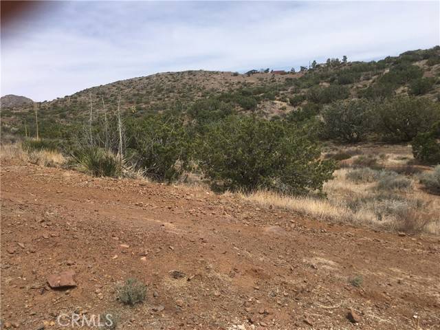 Acton, CA 93510,15 Vac/Corkalmanst/Virginialn