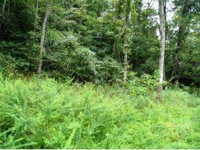 Greeneville, TN 37745,00 Key LN