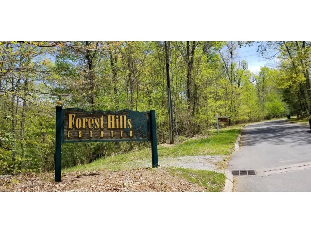 Unicoi, TN 37692,Tr 10 Mountain Laurel CT