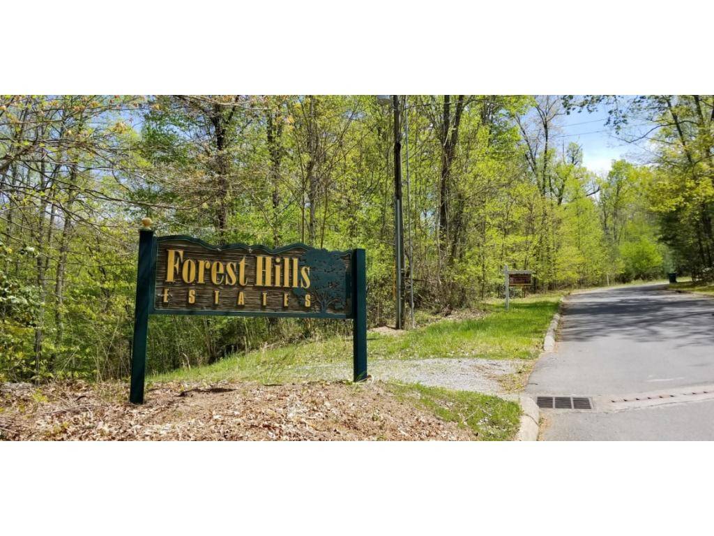 Unicoi, TN 37692,Tr 13 Mountain Laurel CT