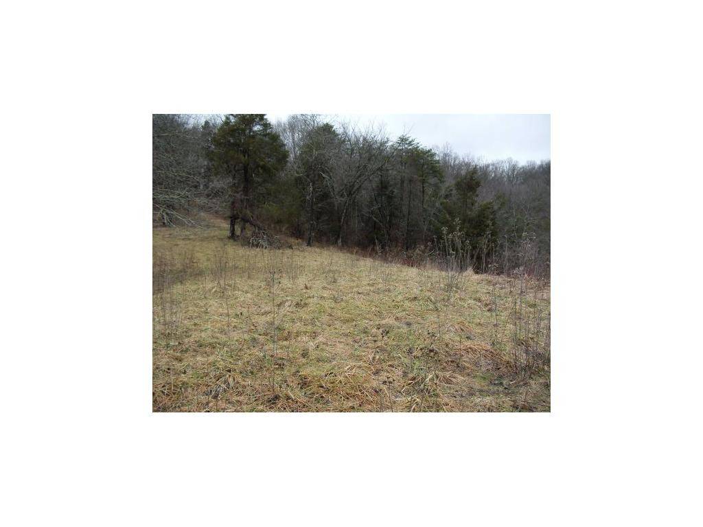 Gate City, VA 24251,0 Wadlow Gap RD
