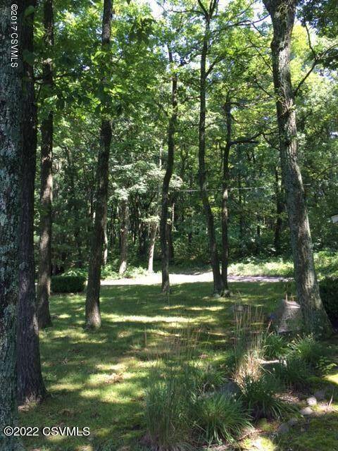 Catawissa, PA 17820,163 EVERGREEN Lane