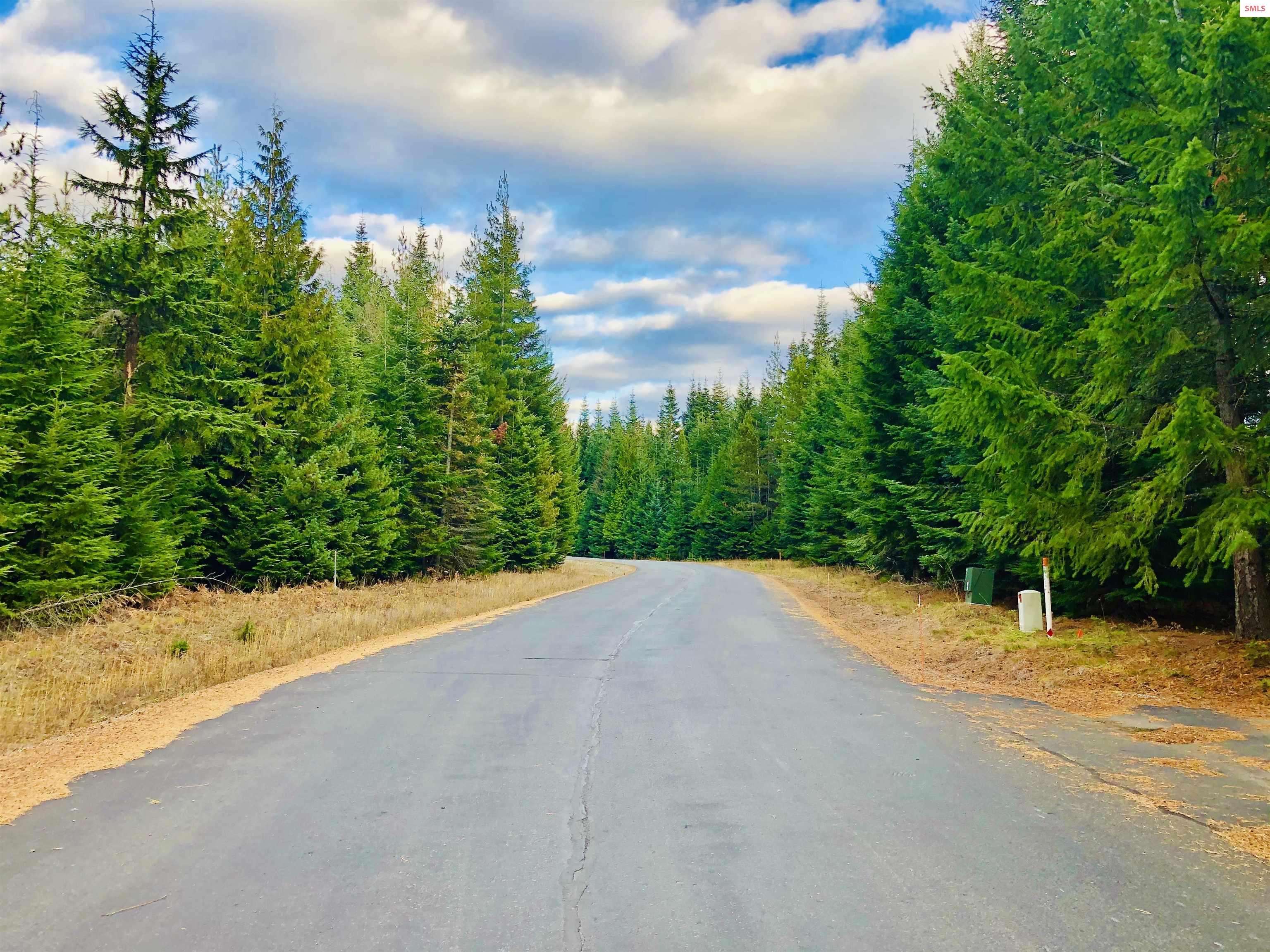 Naples, ID 83864,534 Saddleback Drive