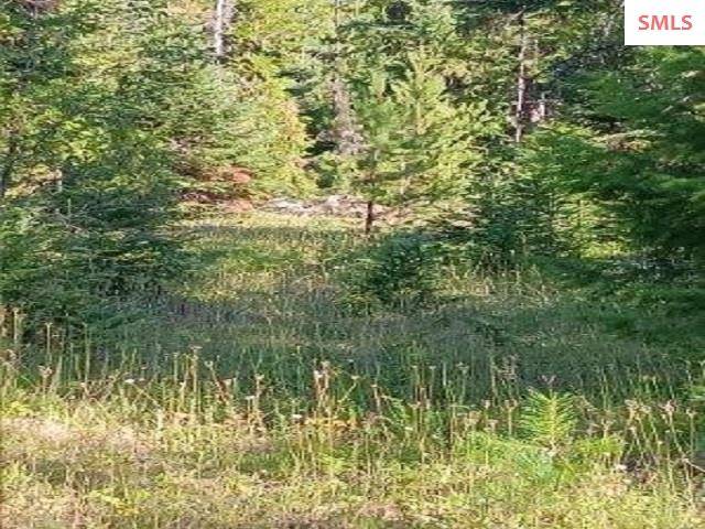 Priest River, ID 83856,435 Nowhere Rd