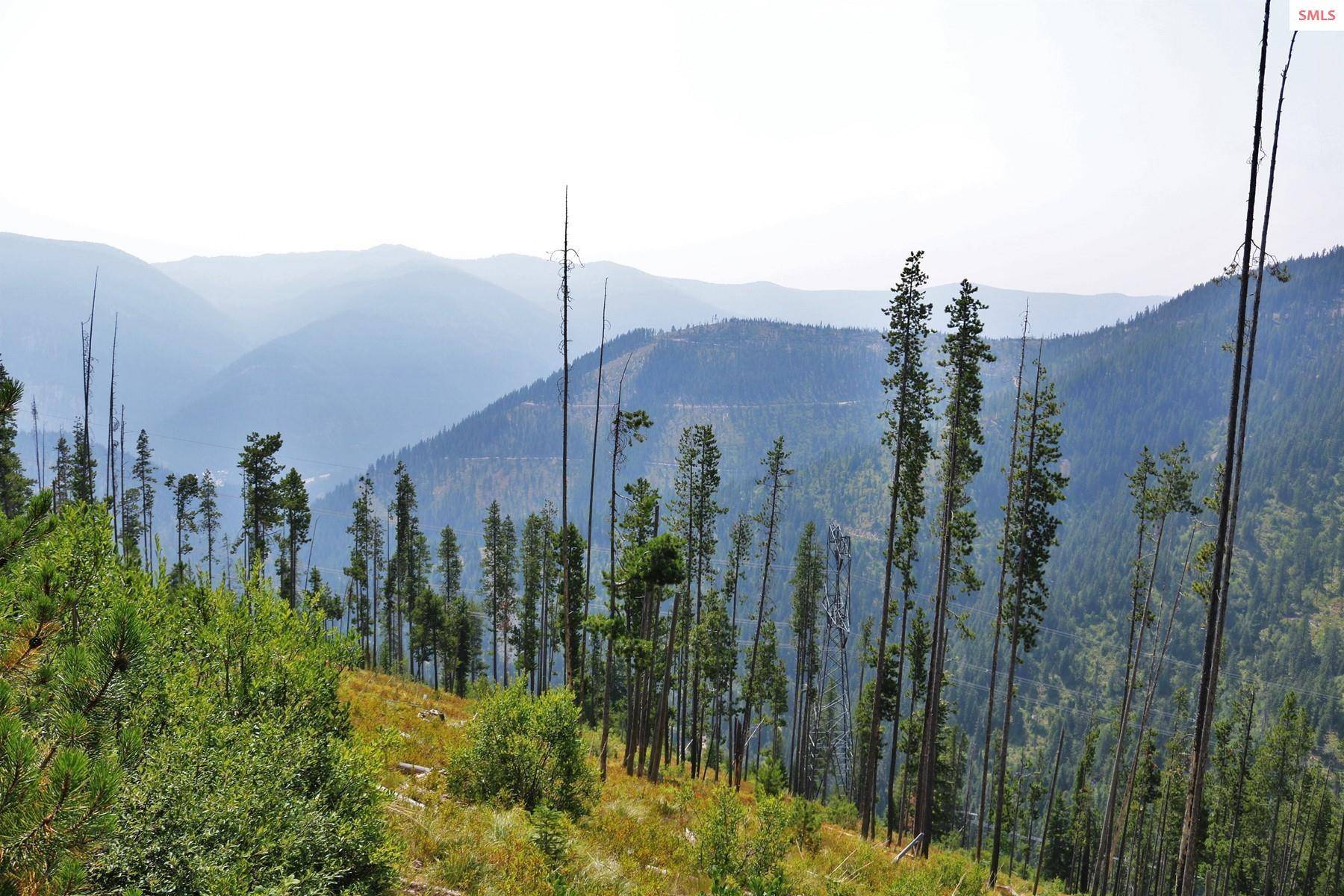 Mullan, ID 83846,Star Claim 9&11 Daisy Gulch Rd