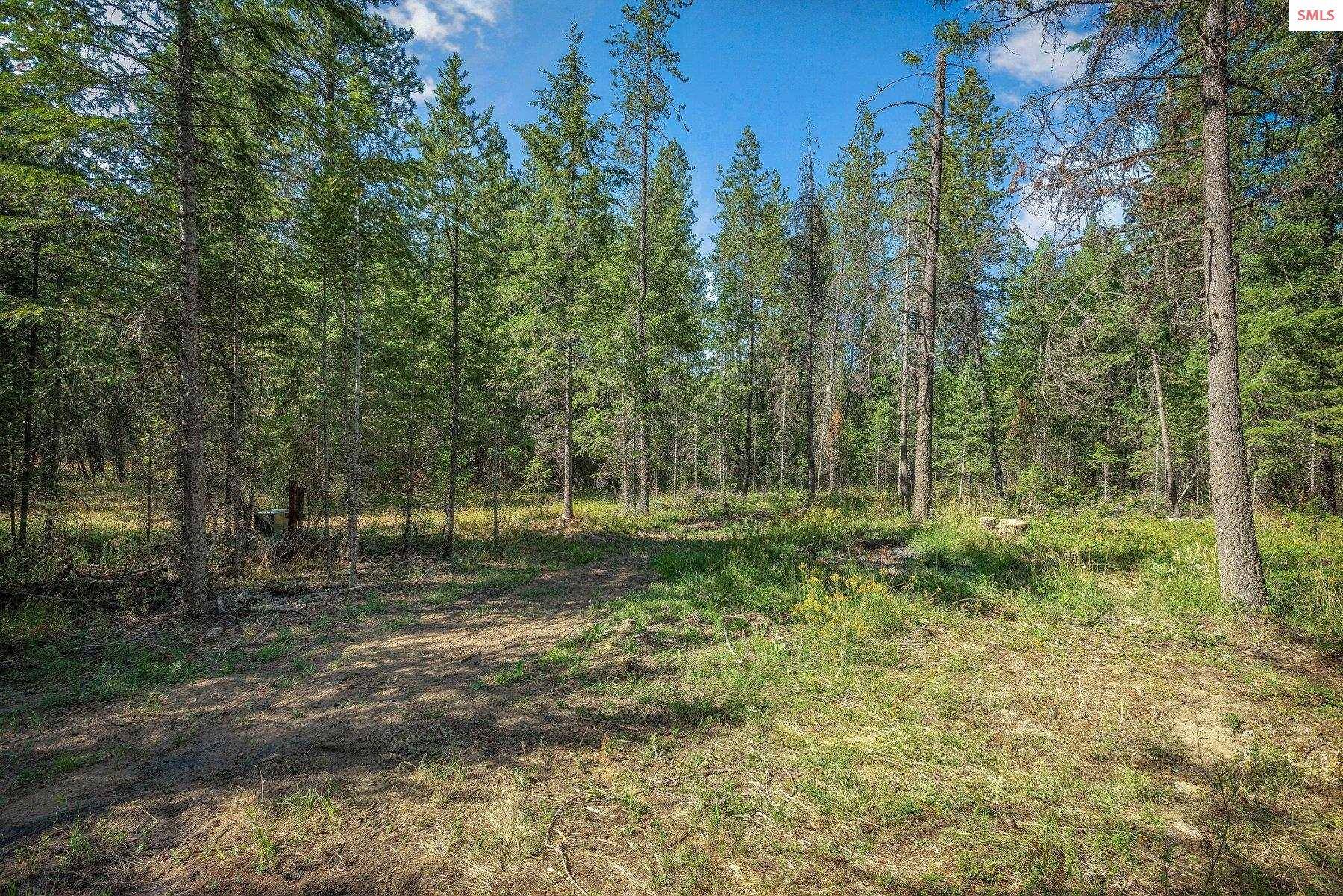 Athol, ID 83801,L3 Smokewood Dr