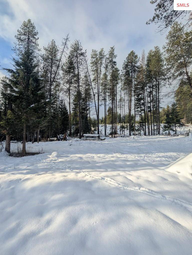 Eastport, ID 83826,2 Conifer Ln