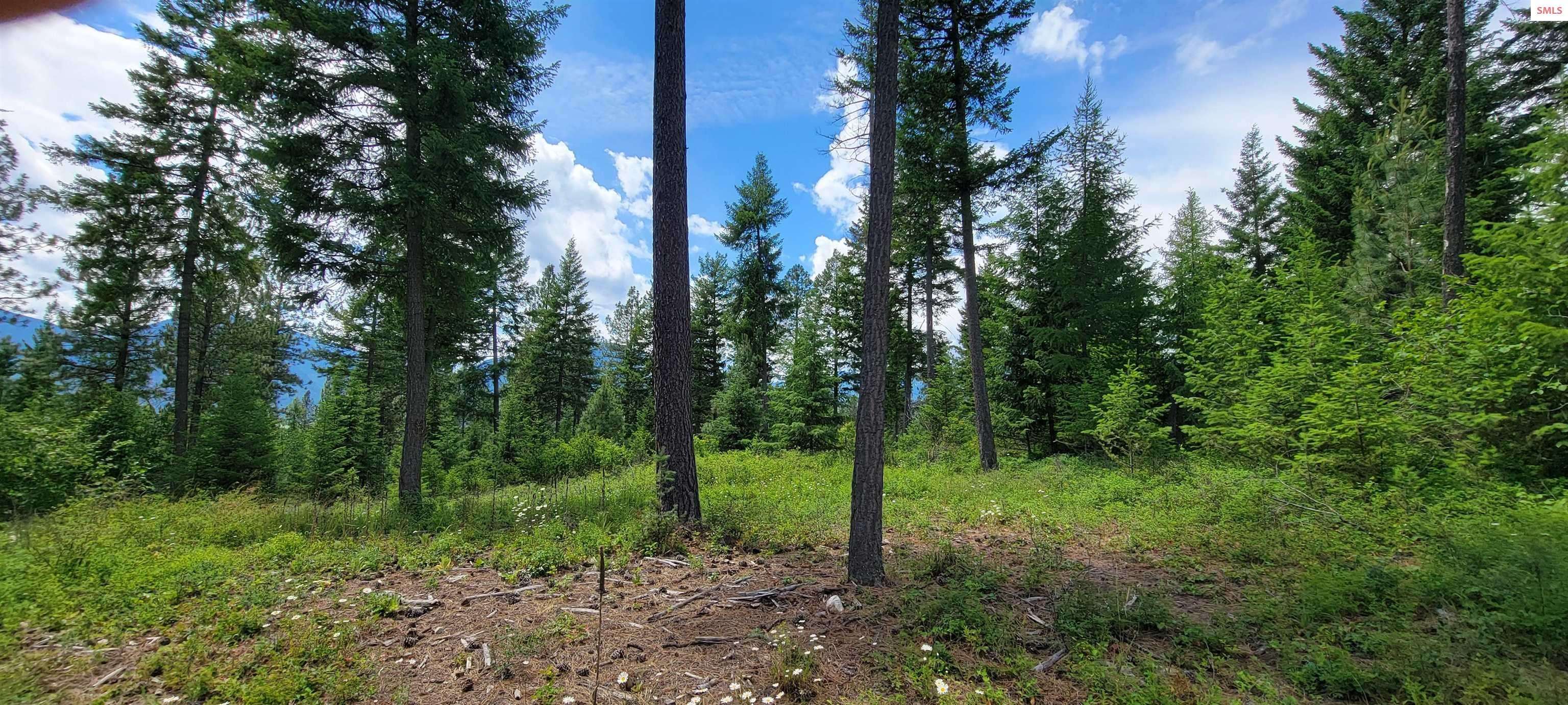 Bonners Ferry, ID 83805,NNA Bootlegger Lane-Parcel 1