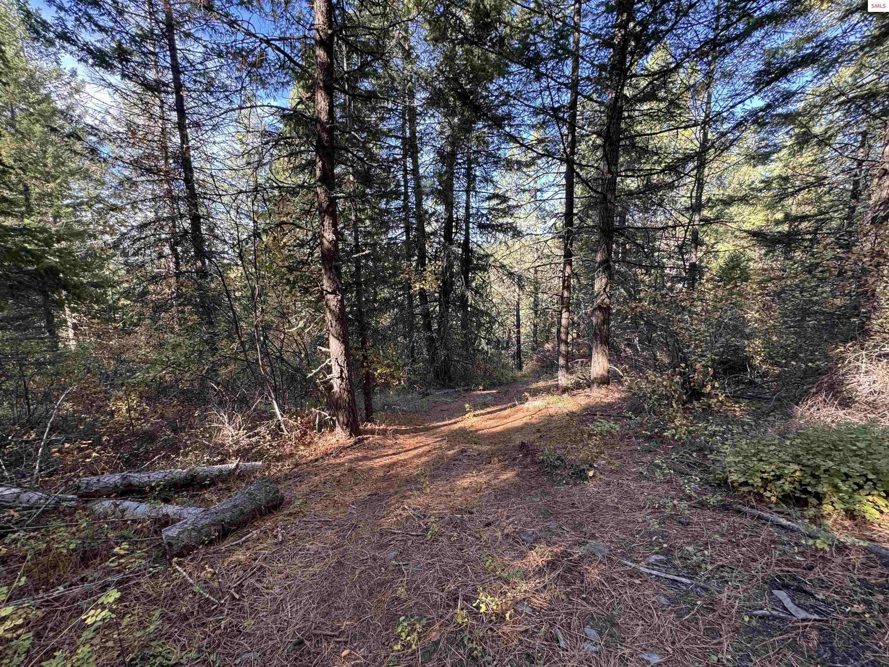Sagle, ID 83860,NNA W Rocky Rd