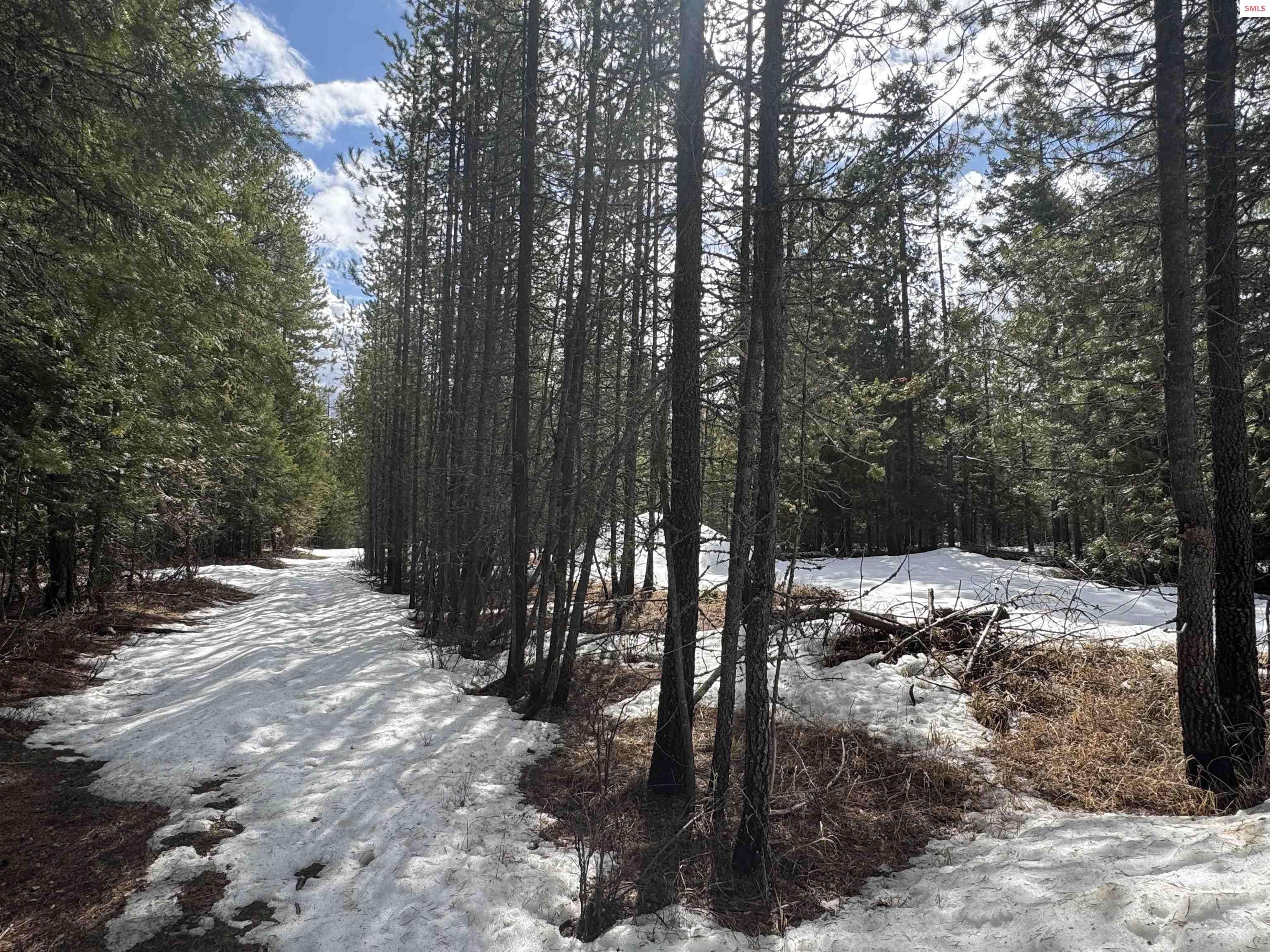 Priest River, ID 83856,NNA High Meadow Dr