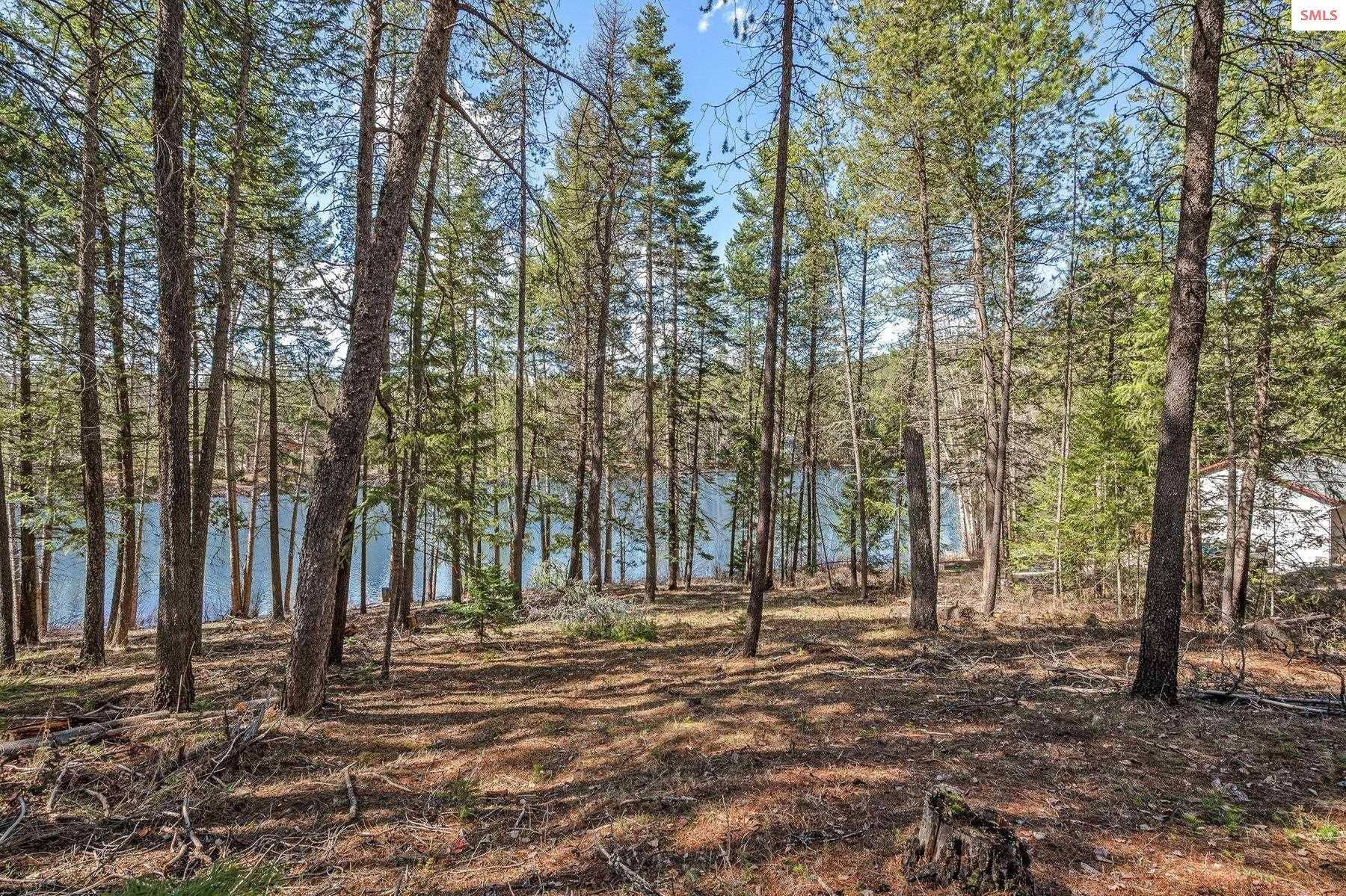 Blanchard, ID 83804,NNA Hanaford Rd.
