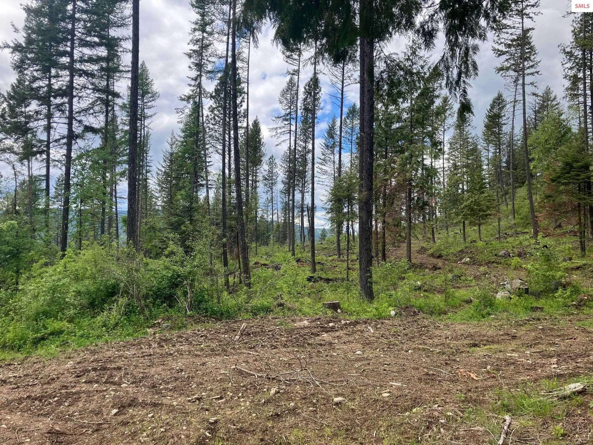 Priest River, ID 83856,NNA Gold Cup Mt. 40 acres