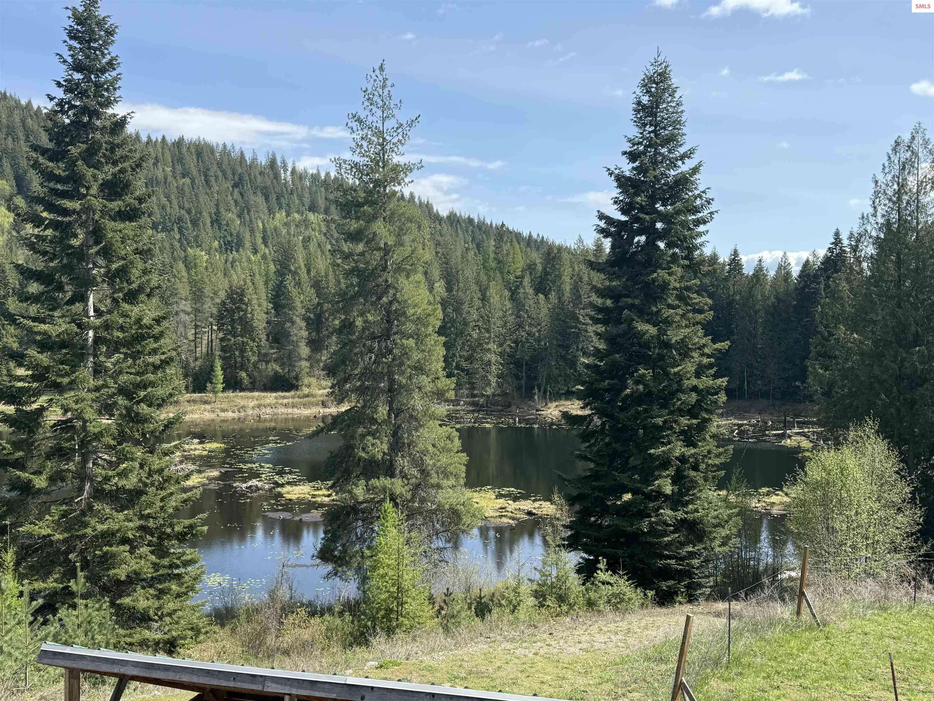 Sandpoint, ID 83864,1959 Thimbleberry Lane