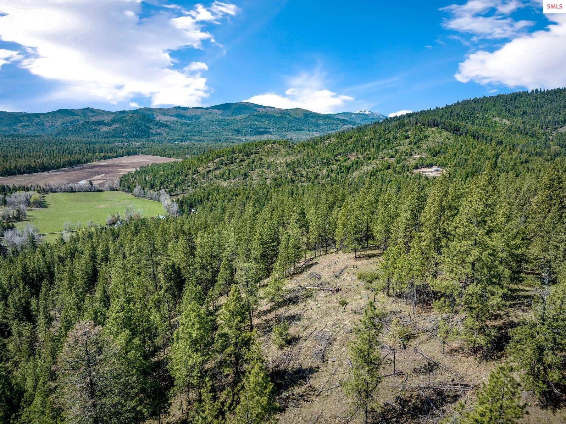 Spirit Lake, ID 83869,NNA Richey Lane
