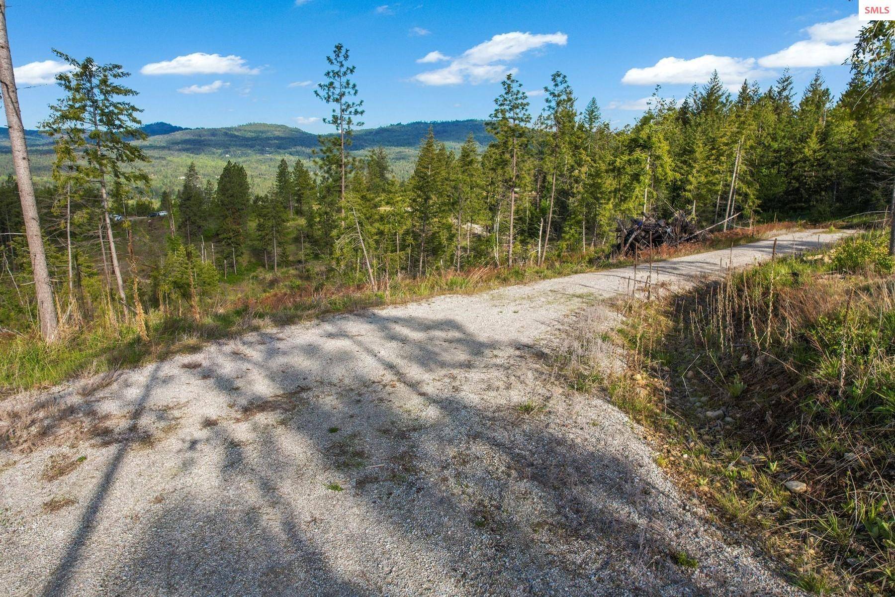 Cocolalla, ID 83813,Lot 4 Kelley Creek Rd