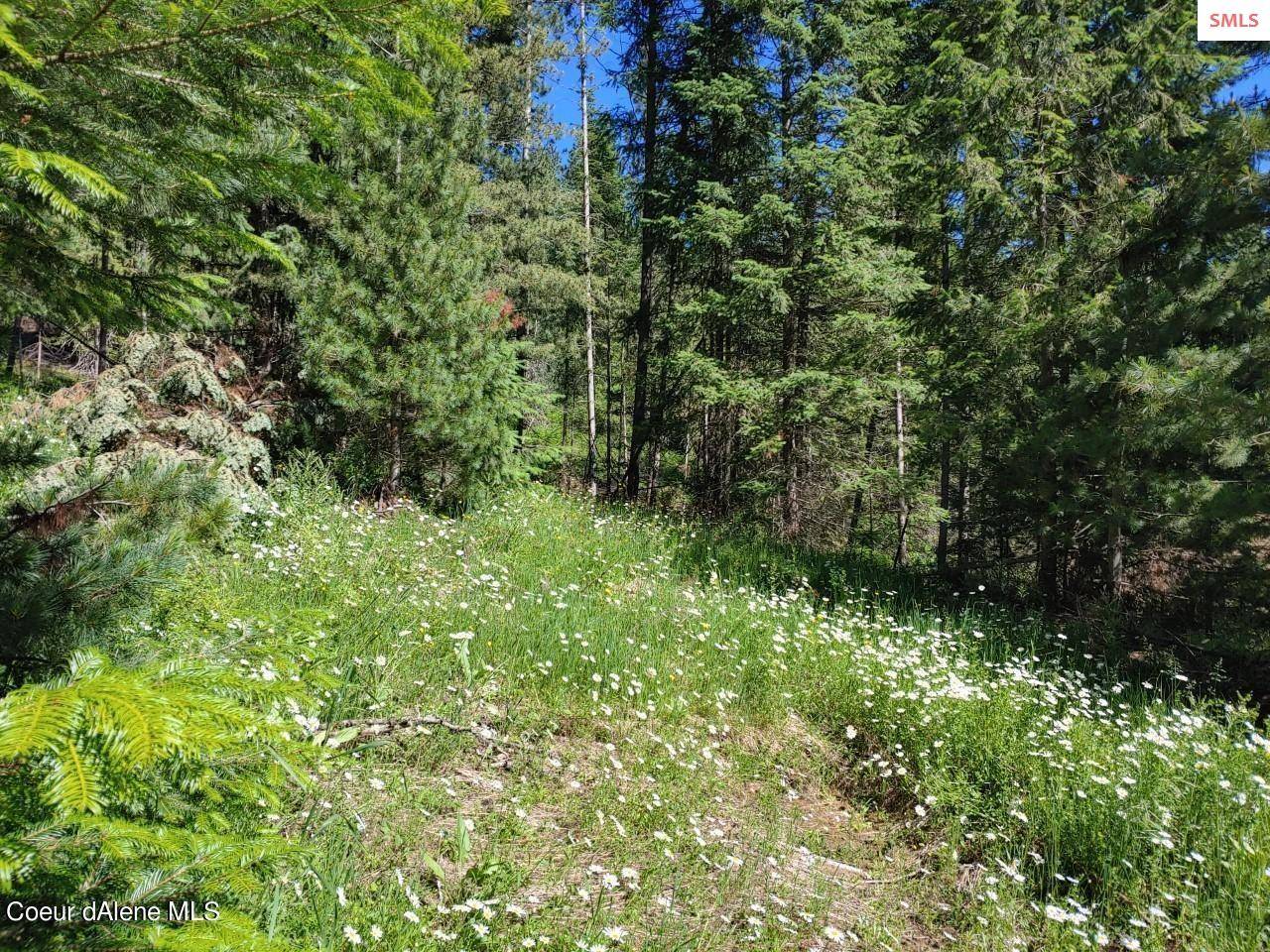 St Maries, ID 83861,NKA Railroad Grade Rd.