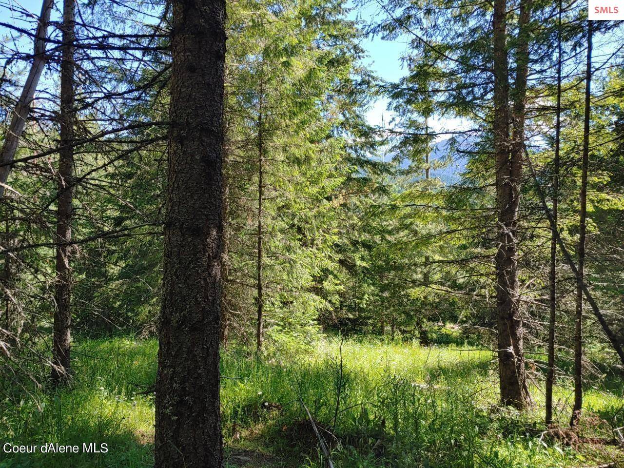 St Maries, ID 83861,NKA Railroad Grade Rd.