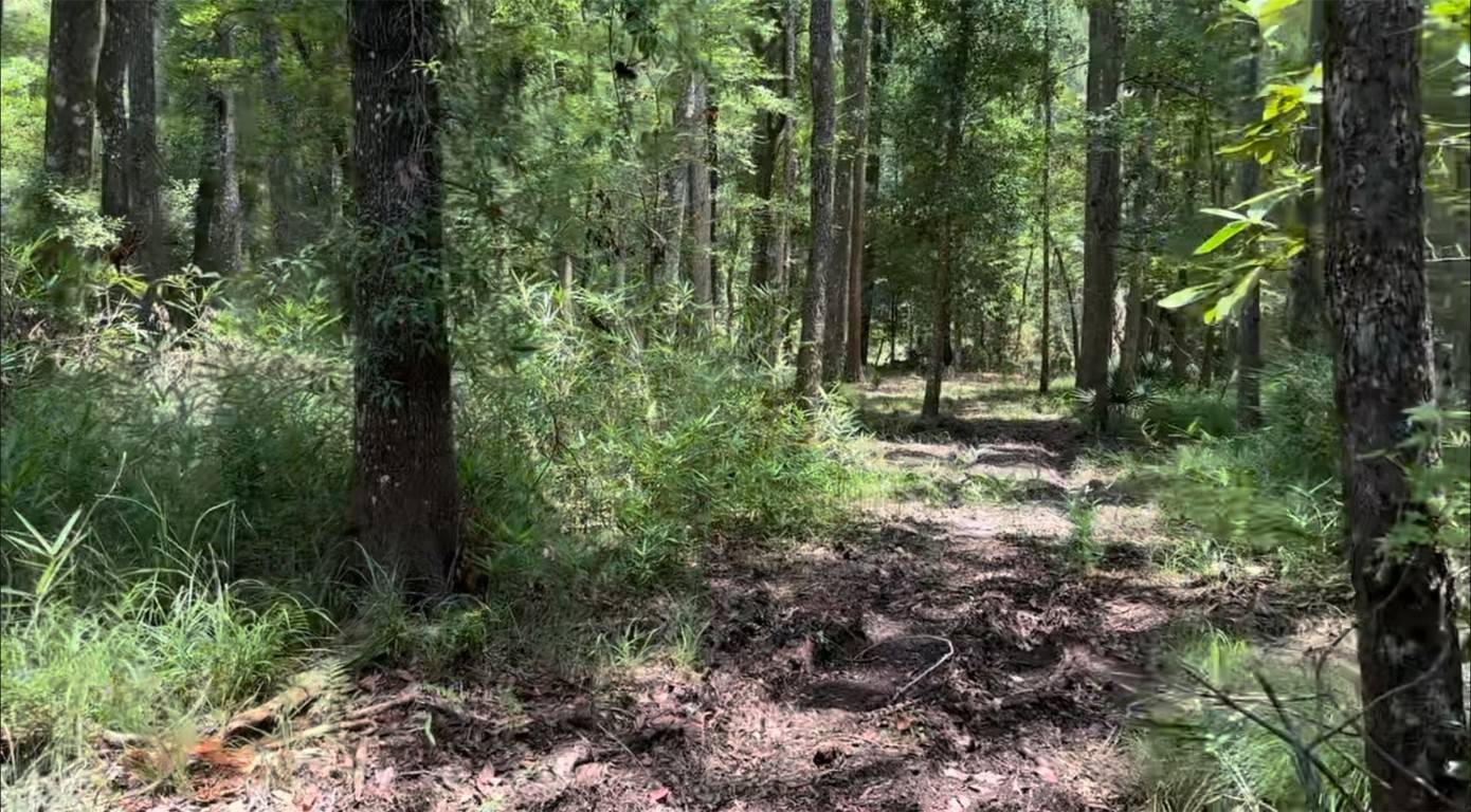 Bryceville, FL 32097,Lot 1 US 301