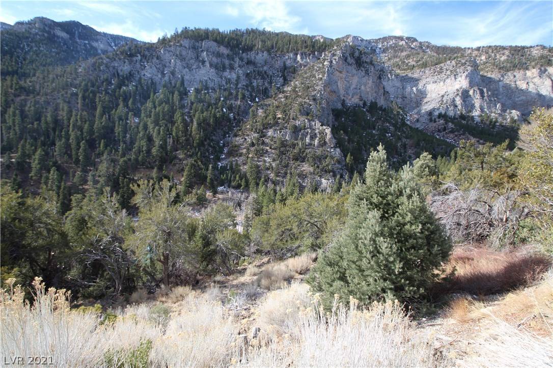 Mount Charleston, NV 89124,335 Crestview Drive