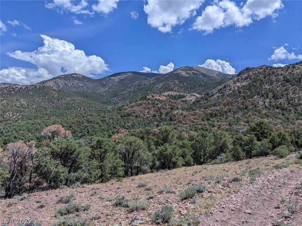 Pioche, NV 89043,Pinion Pine Rd-APN 006-041-32