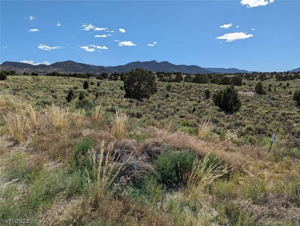 Pioche, NV 89043,Lot #1 O'Callaghan Ct.